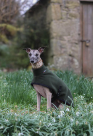 Polo Neck Coat, Loden Green Polo Neck Coat, Loden Green