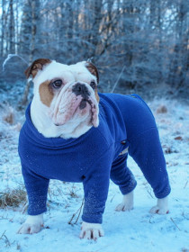 Dog Suit, Denim Blue Dog Suit, Denim Blue