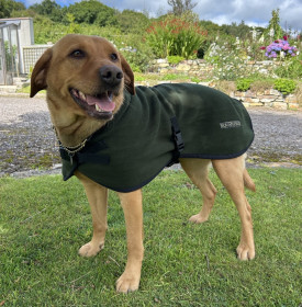 Dog Coat, Loden Green Dog Coat, Loden Green