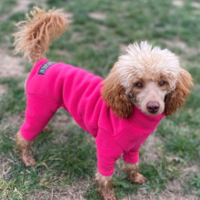 Dog Suit, Soft Fuchsia