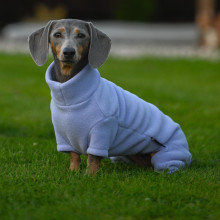 Dachsie Suit, Lavender