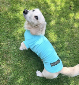 T-Shirt Body, Mint Green T-Shirt Body, Mint Green