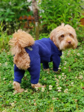 Dog Suit, Navy