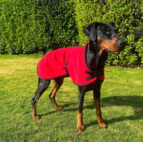 Dog Coat, Red Dog Coat, Red