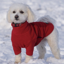 Dog Jumper, Red