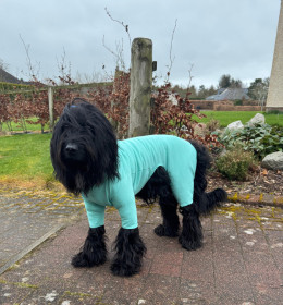 T-Shirt Suit, Mint Green T-Shirt Suit, Mint Green