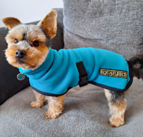 Polo Neck Coat, Teal