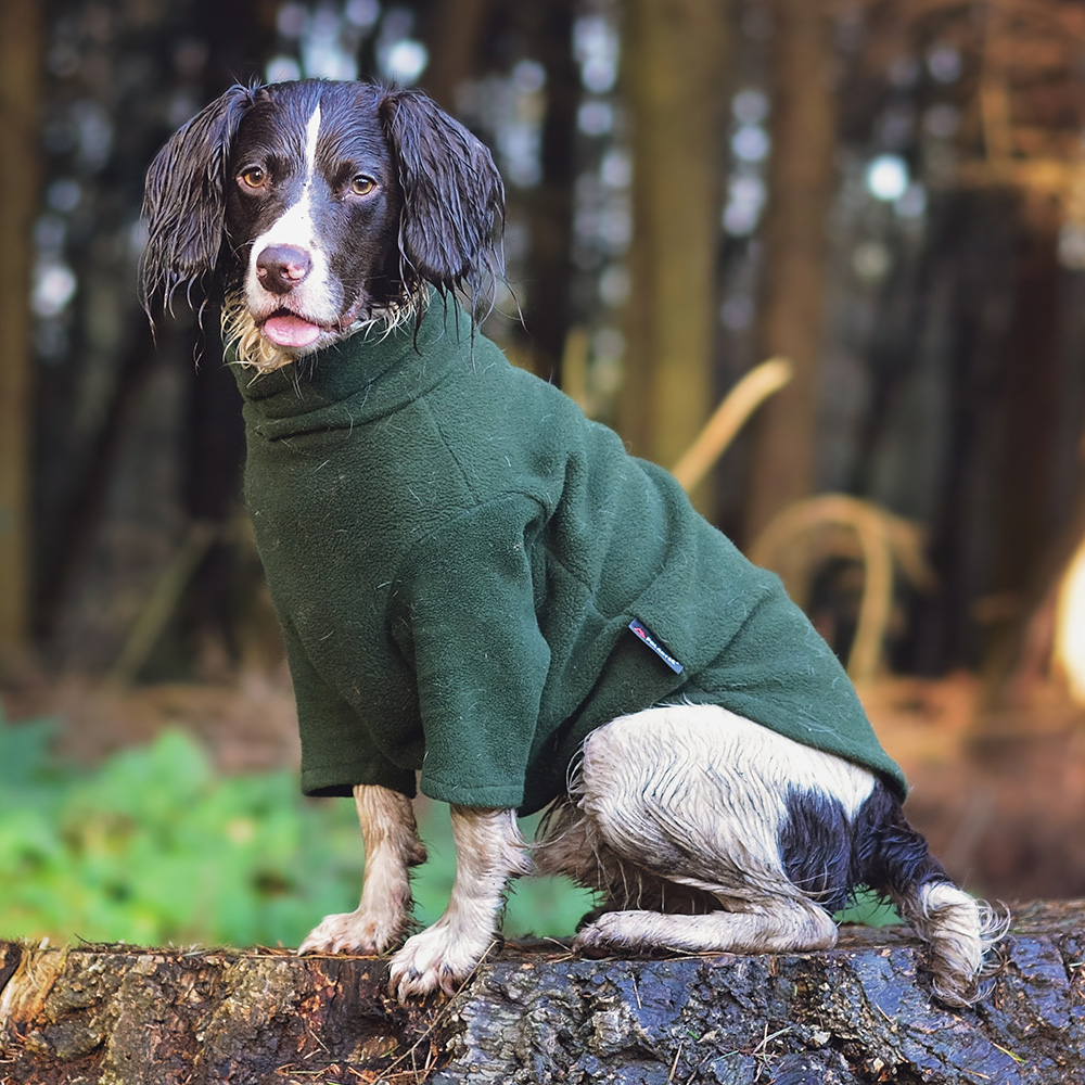 dog fleeces and jumpers